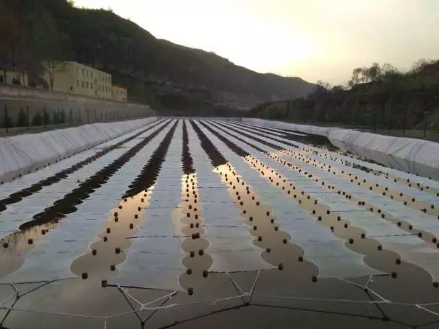 首页| CA88集团中国唯一官方网站