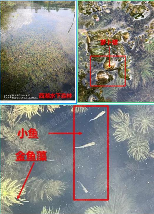 首页| CA88集团中国唯一官方网站