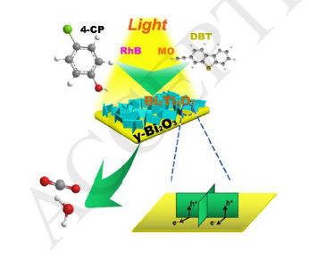 CA88环境最新科研动态(2020-6)