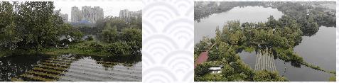 首页| CA88集团中国唯一官方网站