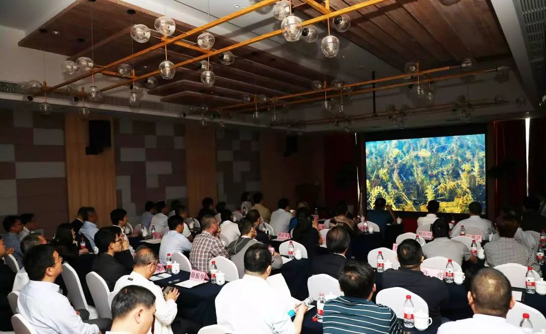 首页| CA88集团中国唯一官方网站