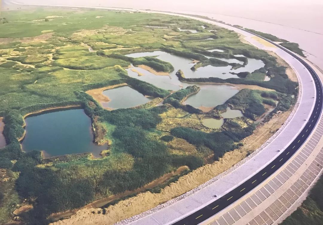 上海青草沙水库治理实证基地工程