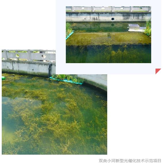 首页| CA88集团中国唯一官方网站