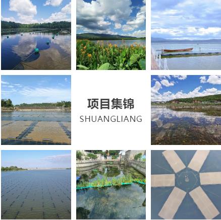 首页| CA88集团中国唯一官方网站