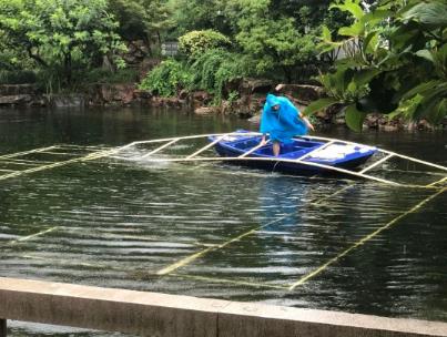 四团镇河路治理佑装法宝”