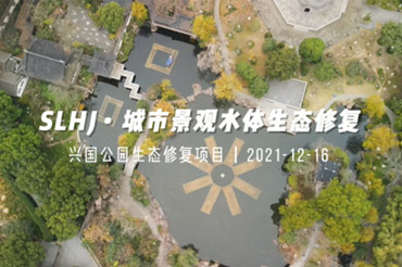 村落黑臭水体治理“行不通”！