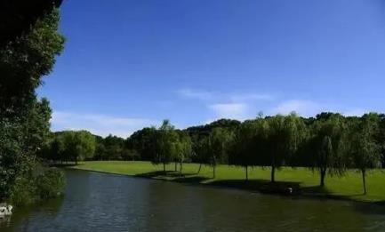 综合治理让龙溪河变身“最美河道”