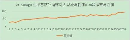 首页| CA88集团中国唯一官方网站