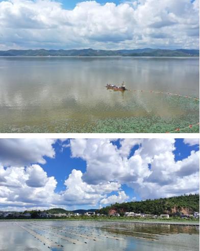 河湖生态缓冲带；そǜ醇际踔改