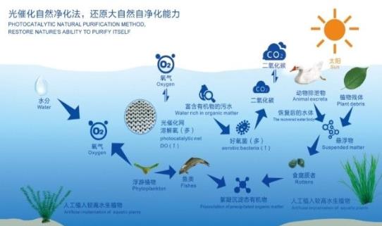 洱海高水平；ち饔蚋咧柿糠⒄