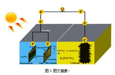 首页| CA88集团中国唯一官方网站
