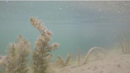 新闻转载｜紧盯沉点推动湖泊；ぶ卫碛斜涠泄π