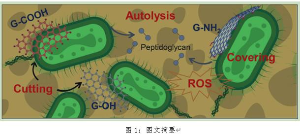 CA88环境最新科研动态(2022-10)