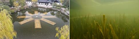 在我县调研领导污水处置、吕庄水库建设及涑水河闻喜段河路治理等工作