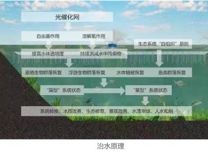 亚洲最大的污水处置厂——白龙港污水处置厂