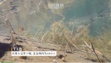 8f63629a2b0d44c000bacf55ddddcac9 首页| CA88集团中国唯一官方网站