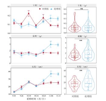 首页| CA88集团中国唯一官方网站