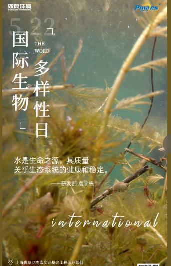5.22生物多样性日｜共护碧水清波，共建和谐生态！