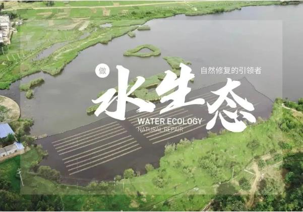 首页| CA88集团中国唯一官方网站