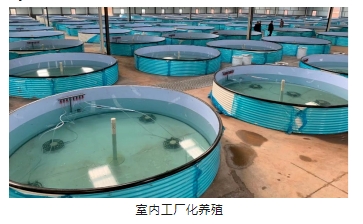 首页| CA88集团中国唯一官方网站
