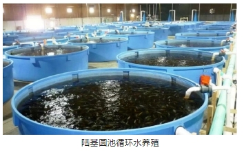 首页| CA88集团中国唯一官方网站