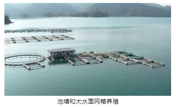 首页| CA88集团中国唯一官方网站