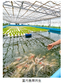 首页| CA88集团中国唯一官方网站