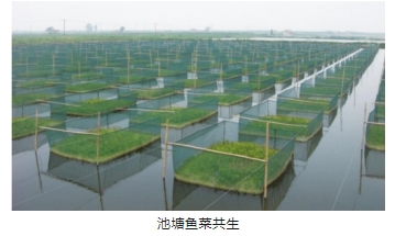 首页| CA88集团中国唯一官方网站